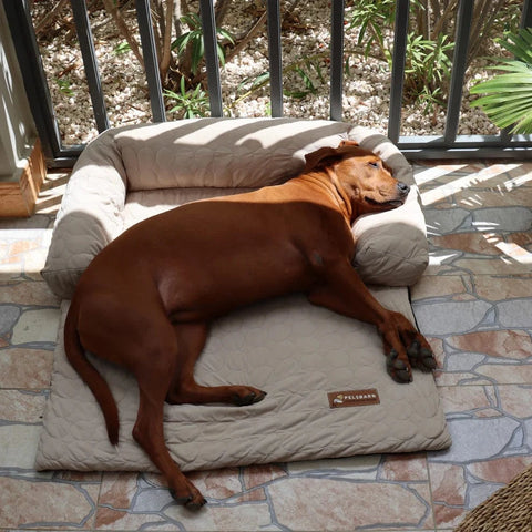 HeatRelief™ Cooling Dog Bed