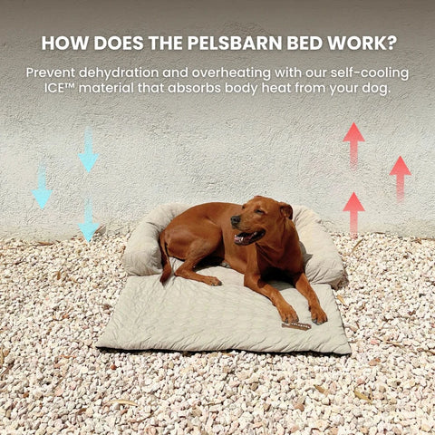 HeatRelief™ Cooling Dog Bed