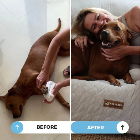 HeatRelief™ Cooling Dog Bed