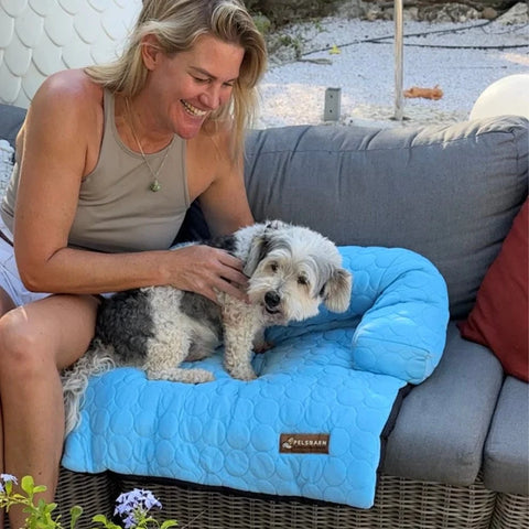 HeatRelief™ Cooling Dog Bed