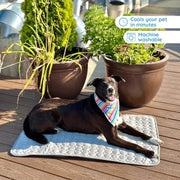 Dog Cooling Mat
