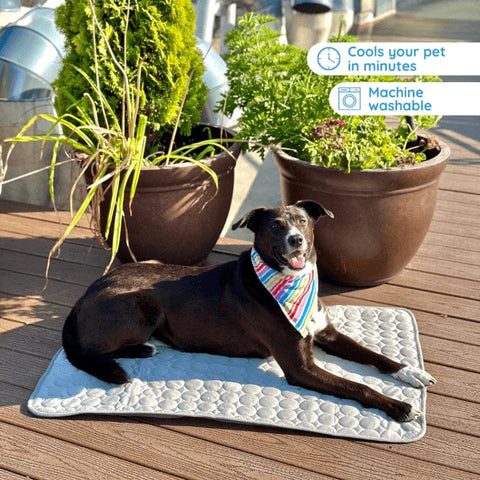 Dog Cooling Mat