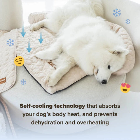 HeatRelief™ Cooling Dog Bed