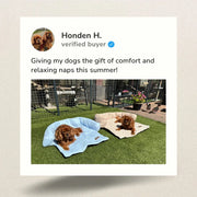 HeatRelief™ Cooling Dog Bed