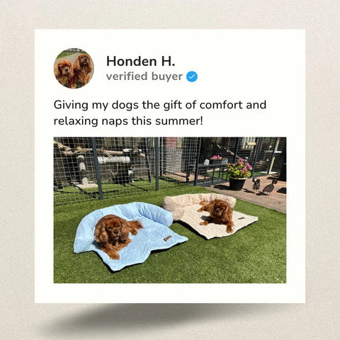 HeatRelief™ Cooling Dog Bed