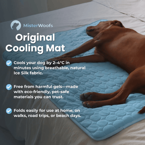 Dog Cooling Mat