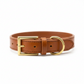 Collier chien