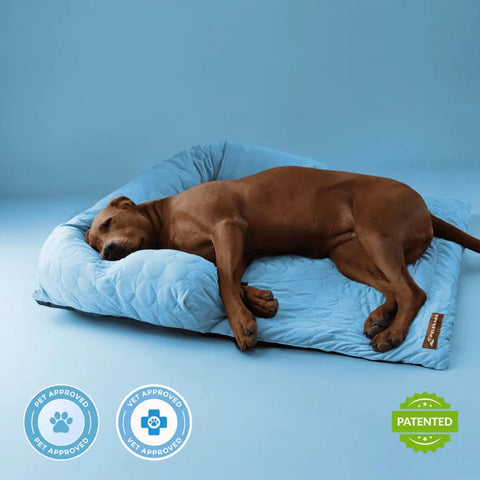HeatRelief™ Cooling Dog Bed