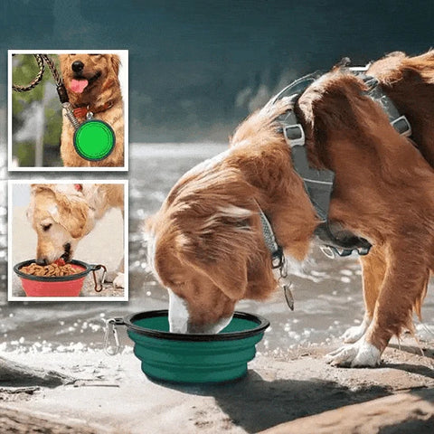 Collapsible Travel Bowl