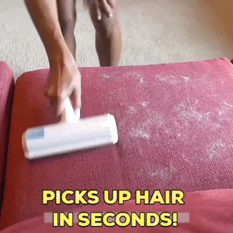 Pet Fur Roller Cleaner