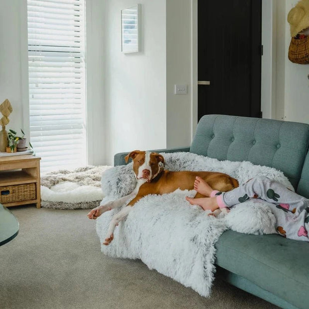 Original Calming Furniture Protector - Mister Woofs