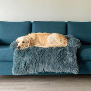 Original Calming Couch Protector
