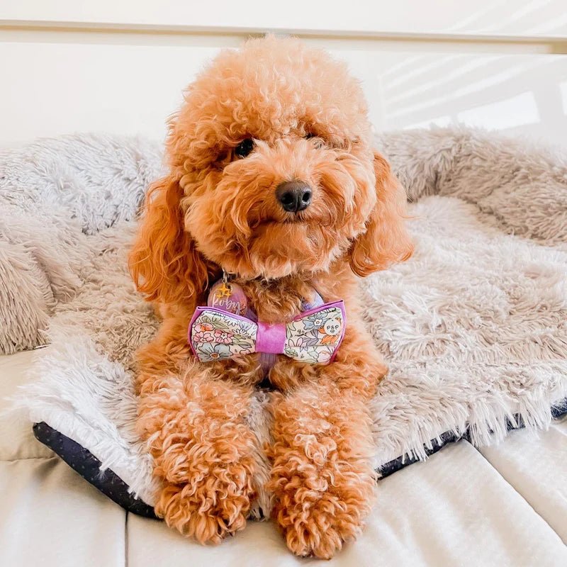 Original Calming Couch Protector